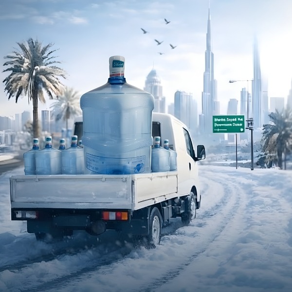 WhatsApp Image 2026-03-08 at 12.32.47 PM